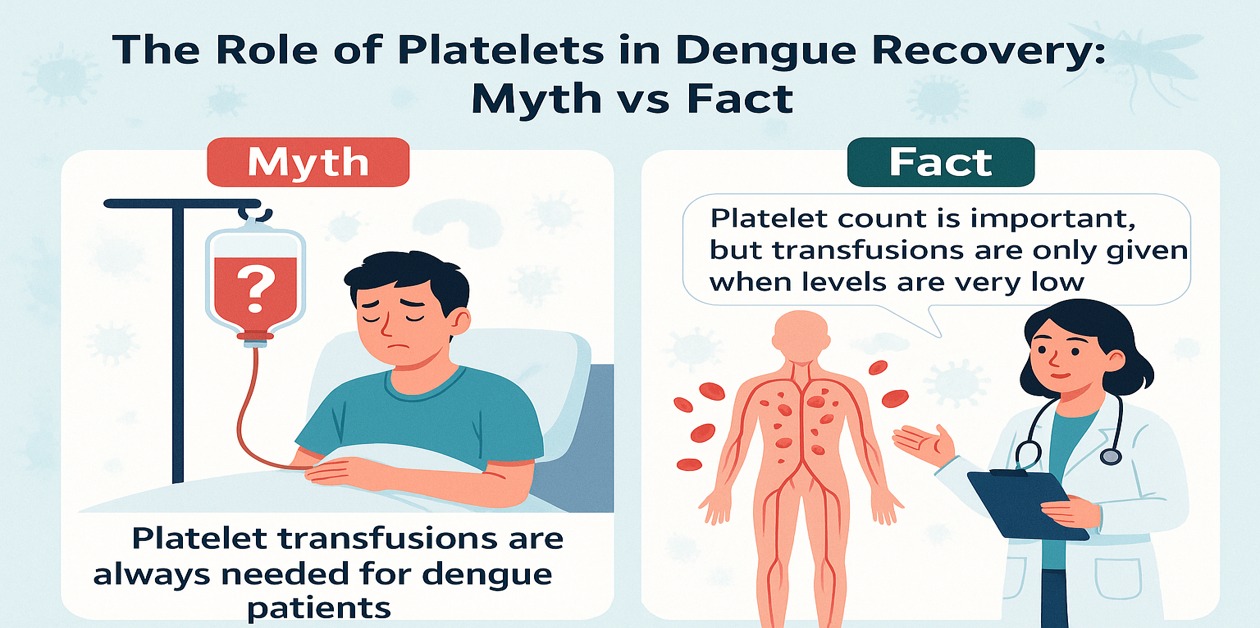 platelets, dengue recovery, myths, and transfusions